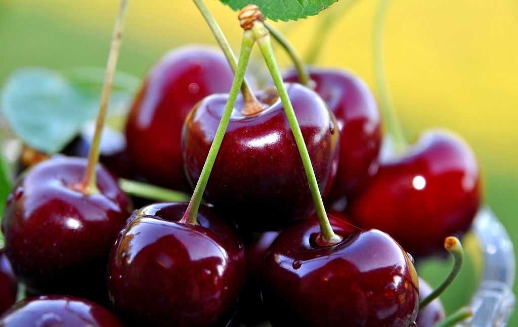 گیلاس کاهش خطر حمله قلبی با گیلاس