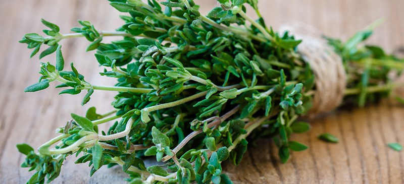 خواص آویشن گیاهی ضد ویروس با فواید فراوان طبی و حتی درمان سرطان خواص آویشن