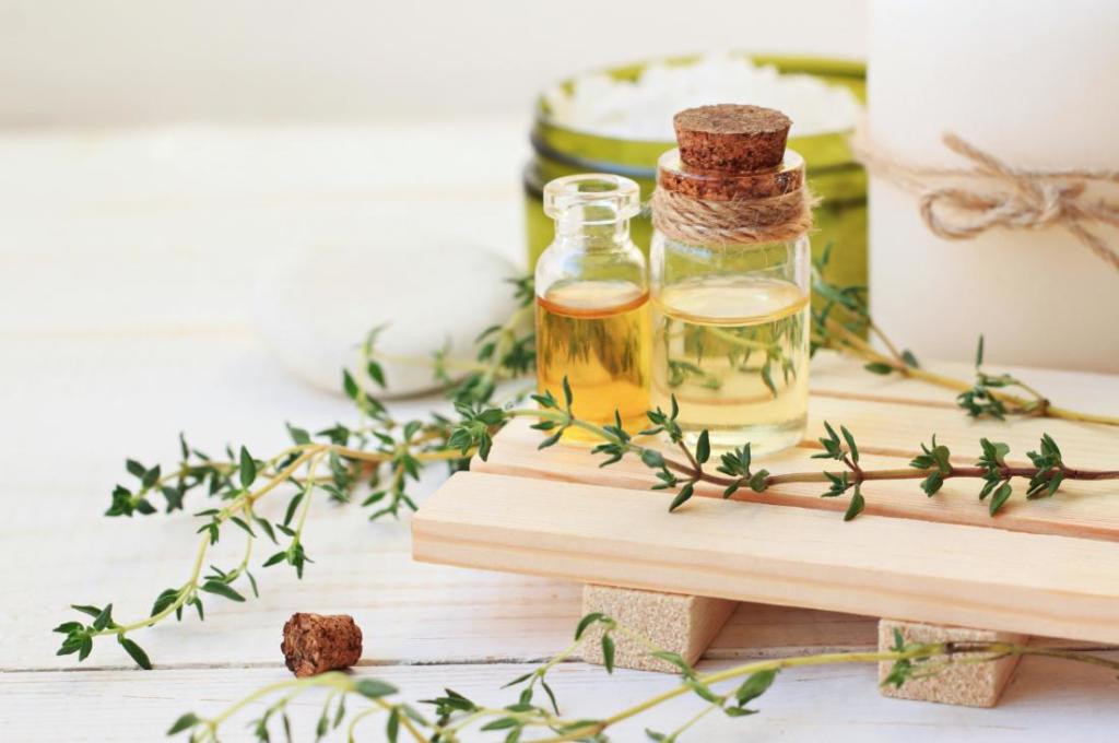 خواص آویشن گیاهی ضد ویروس با فواید فراوان طبی و حتی درمان سرطان خواص آویشن