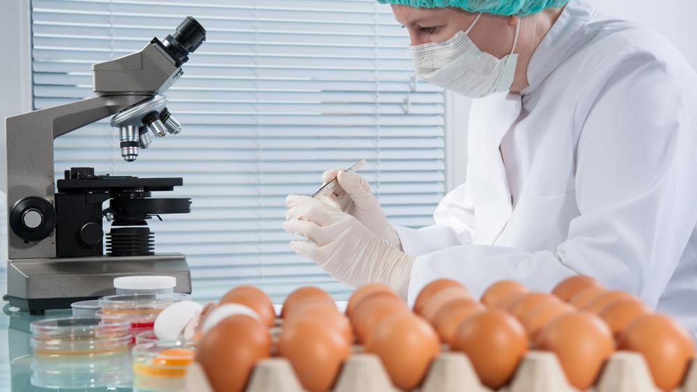 عفونت سالمونلا (Salmonellosis)؛ علائم، تشخیص، درمان و پیشگیری عفونت سالمونلا یا سالمونلوز