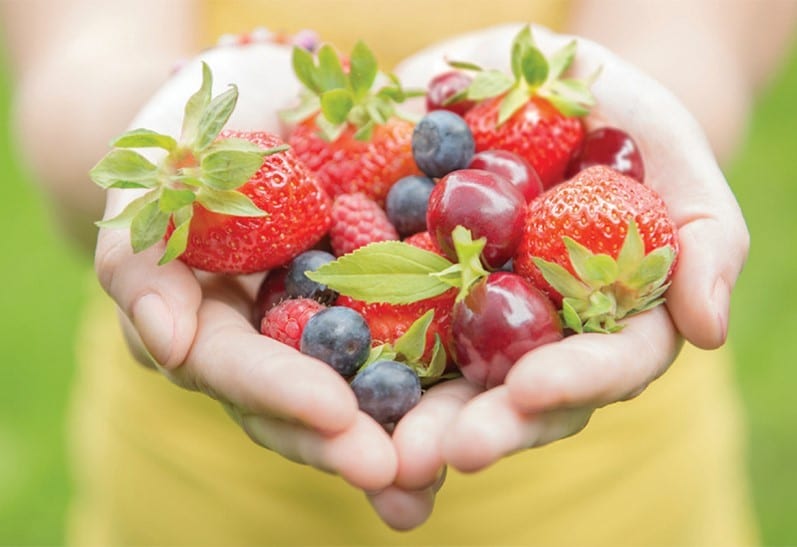 بلوبری غذاهای مغذی