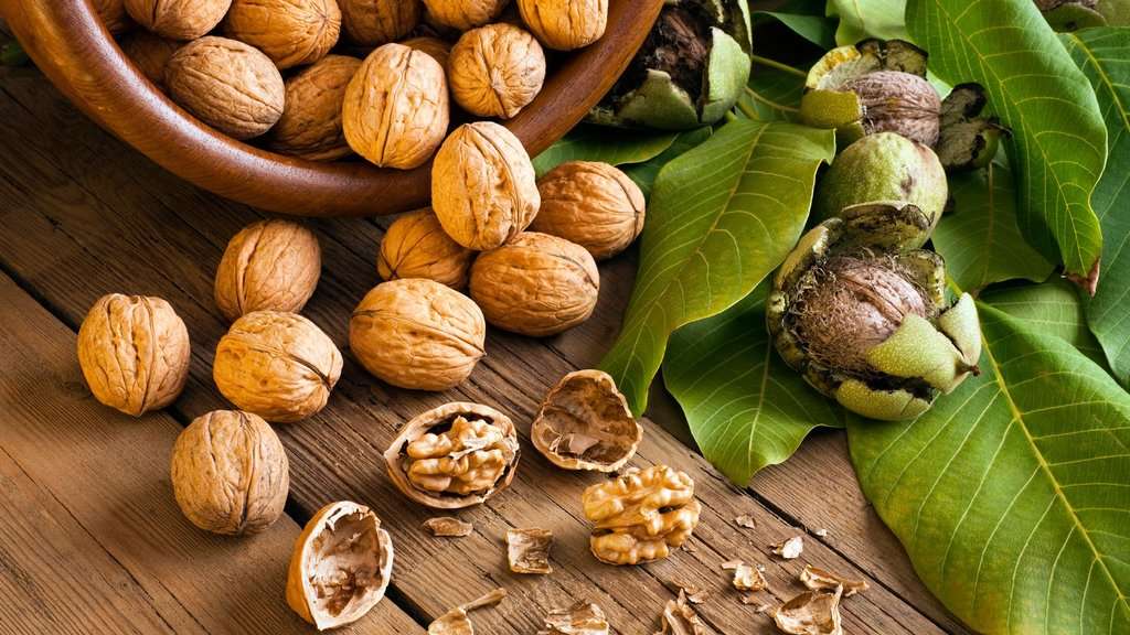 غذاهای کاهش دهنده کلسترول و پیشگیری کننده از بیماریهای قلبی گردو