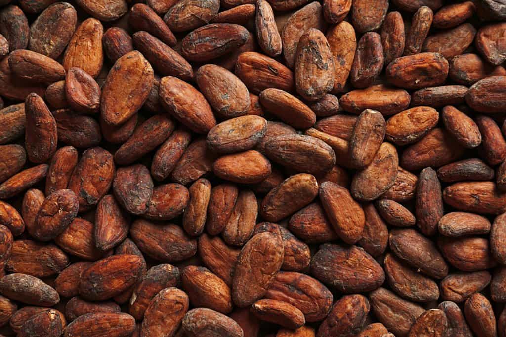 کاهش فیبریلاسیون دهلیزی با شکلات اثرات کاکائو بر قلب
