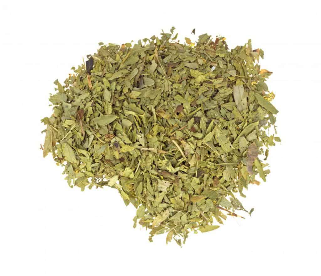 چای سنا ؛ فواید، عوارض، میزان مصرف توصیه شده و تداخلات دارویی چای سنا و میزان مصرف