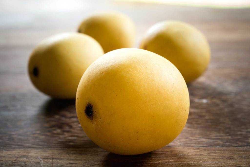 کاهش جای زخم و تغذیه پوست با 6 درمان خانگی و تعریف چند نوع اِسکار روغن میوه درخت مارولا