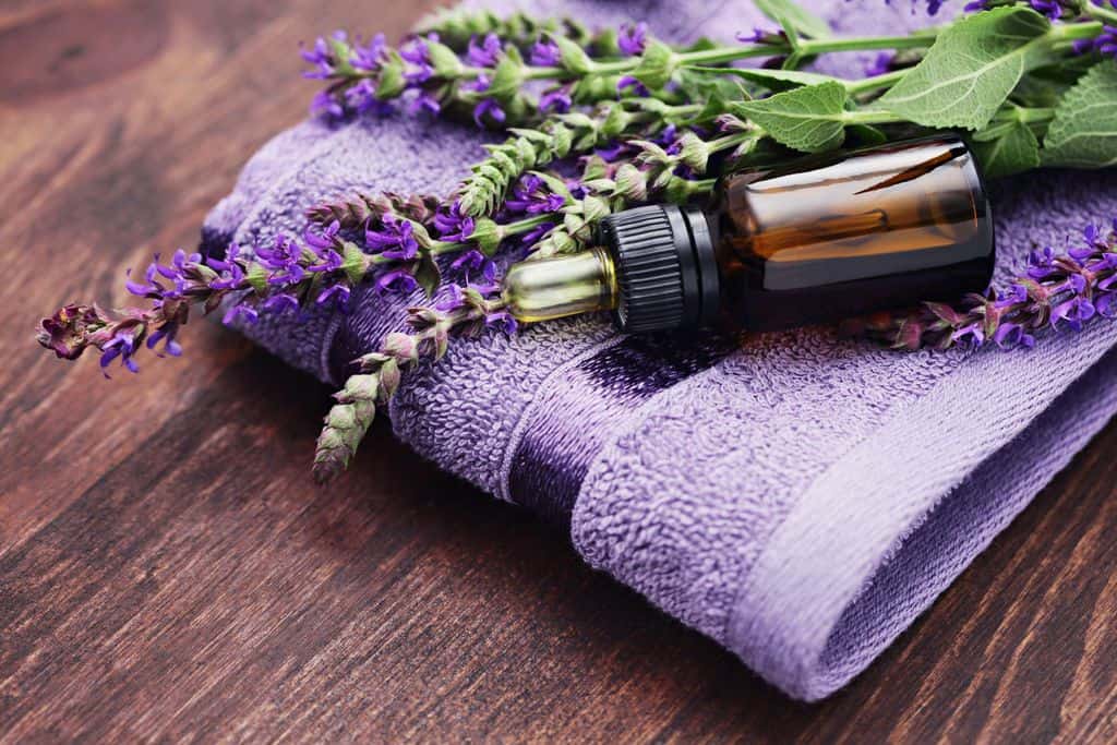 گیاهان کاهش دهنده فشار خون با 10 نوع مختلف درمان آلرژی با اسطوخودوس