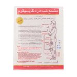 چسب ضد درد کاپسیکوم عقاب نشان 1 عدد - تصویر 4