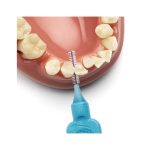 مسواک بین دندانی اورجینال سایز 3 تپه 6 عدد - تصویر 6