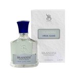 عطر جیبی مردانه و زنانه برندینی مدل Virgin Island حجم 33 میلی لیتر - تصویر 3